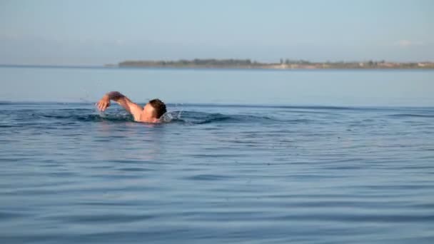 Un hombre nada en el lago por la mañana temprano. — Vídeos de Stock