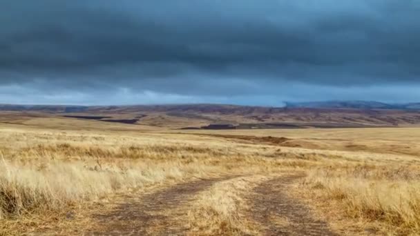 Tormenta panorámica de lapso de tiempo en un campo de trigo amarillo, en tiempo nublado — Vídeo de stock