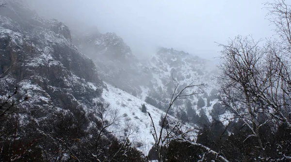 stock image Mountain landscape in winter in a storm