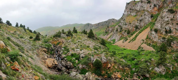 春天的山岭峡谷 — 图库照片