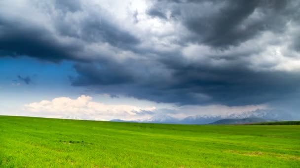 Nubes de trueno sobre un campo de trigo de primavera . — Vídeos de Stock