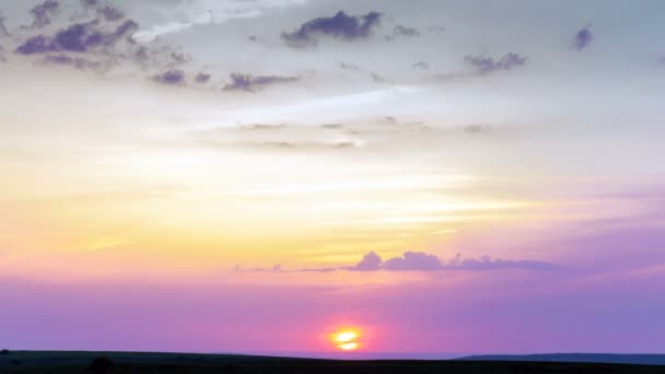 Helder roze zonsondergang boven de savanne. — Stockvideo