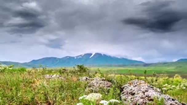 Vilda vildblommor på en bakgrund av berg under en storm — Stockvideo