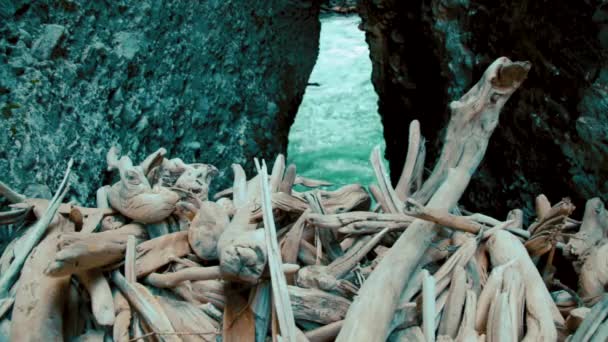 Un barrage en rondins dans une gorge étroite — Video