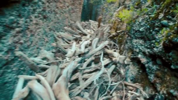 Movimento através de um desfiladeiro estreito em troncos secos, uma caminhada terrível da primeira pessoa — Vídeo de Stock