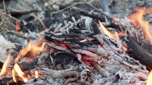 Λαμπερά Καυσόξυλα Μια Φωτιά Αντανάκλαση Των Λαμπερών Κάρβουνων — Αρχείο Βίντεο