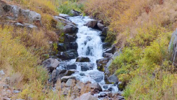 Kaskadowy wodospad jesienią — Wideo stockowe