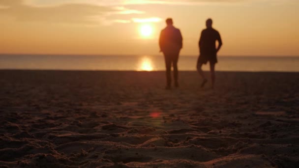 People Walking Towards Sun Royalty Free Stock Video