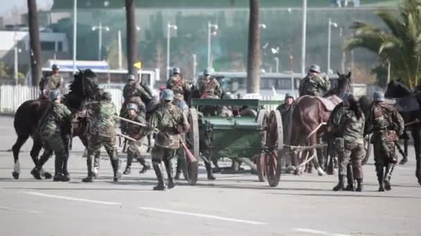 智利圣地亚哥 2011年9月15日 在盛大阅兵彩排中 马拉着一把古老的大炮 克虏伯枪 的事故 — 图库视频影像