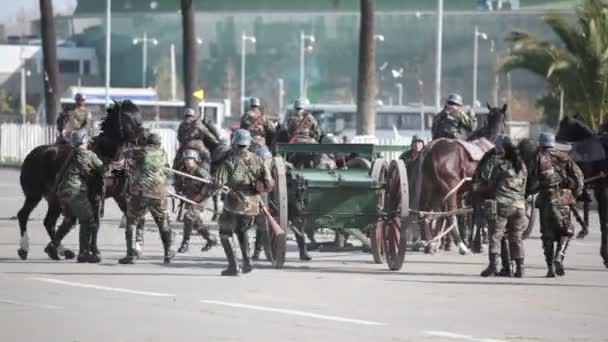 Santiago Chili Septembre 2011 Accident Avec Des Chevaux Tirant Une — Video