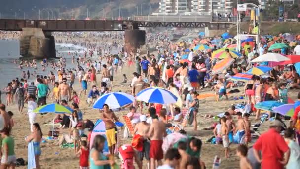 Vina Del Mar Chile Fevereiro 2012 Banhistas Praia Vina Del — Vídeo de Stock