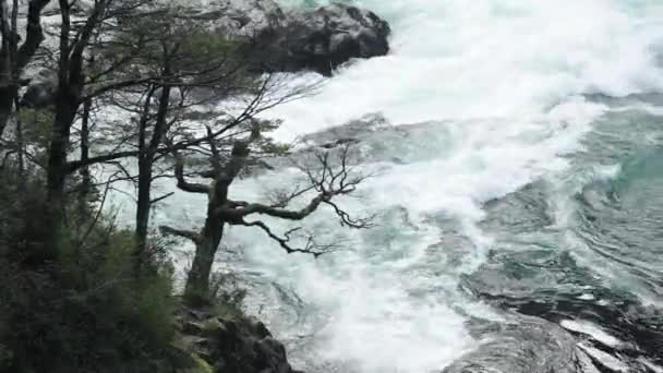 Huilo Huilo Waterval Gelegen Huilo Huilo Biologische Reserve Het Zuiden — Stockvideo