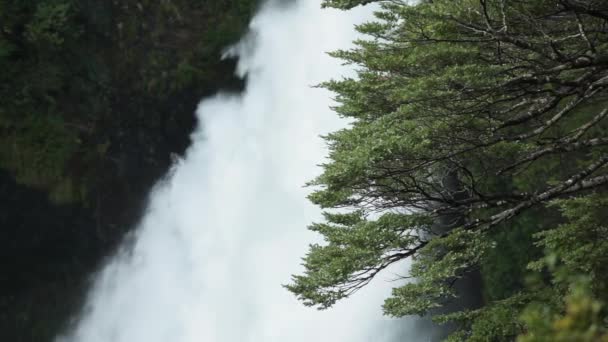 Cascada Huilo Huilo Ubicada Reserva Biológica Huilo Huilo Sur Del — Vídeo de stock