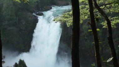 Salto del Puma şelale, Huilo-Huilo biyolojik rezerv Güney Şili'nın Göller bölgesinde yer alan.