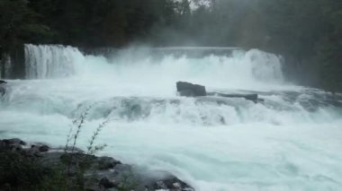 Salto de La Leona şelale, Huilo-Huilo biyolojik rezerv Güney Şili'nın Göller bölgesinde yer alan.