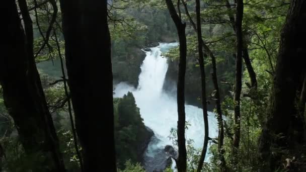 Salto Del Puma Waterfall Located Huilo Huilo Biological Reserve Southern — Stock Video