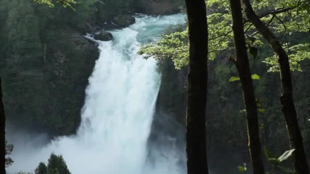 Salto Del Puma Wasserfall Gelegen Biologischen Reservat Huilo Huilo Der — Stockvideo