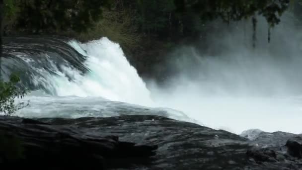 Salto Leona Wasserfall Gelegen Biologischen Reservat Huilo Huilo Der Region — Stockvideo