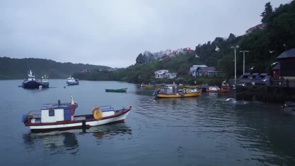 Caleta Angelmo Alkonyatkor Puerto Montt Chile Állam — Stock videók