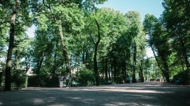 Petersburg Russia June 2019 Summer Garden Park Summer Timelapse — Stock Video