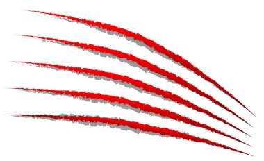 Pençe işaretleri, pençe çizikler, Paw Marks vektör.