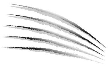Pençe işaretleri, pençe çizikler, Paw Marks vektör.