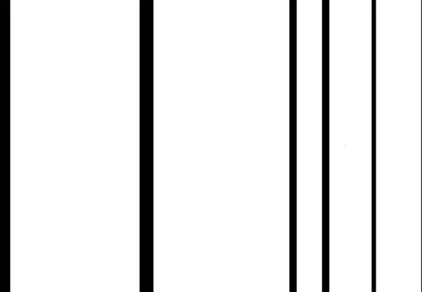 随机直线 平行黑白线 带状图 — 图库矢量图片
