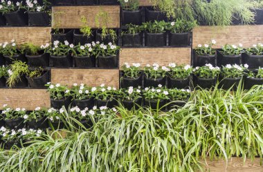 Güzel çiçek arka plan dokusu