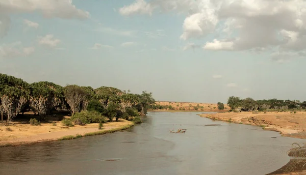 Keňa Tsavo East Národní Park Řeku — Stock fotografie