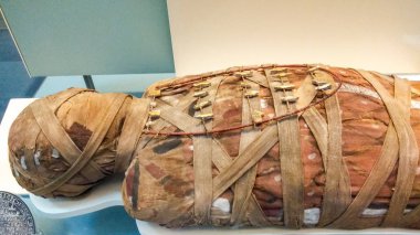 Londra/İngiltere - 21.03.2019: Mumya British Museum'da Egiptian sergisinde gösterildi