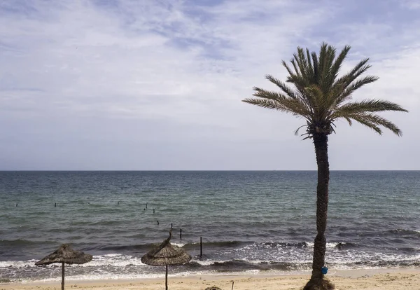 Тунис Песчаный Пляж Море Хорошо Отдыха — стоковое фото