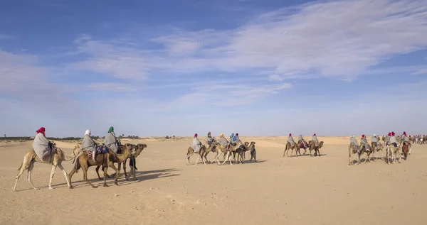 Tunisien Sahara 2019 Ridning Kamel Vid Öknen — Stockfoto