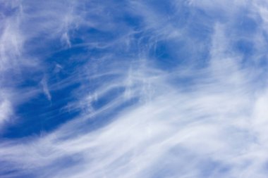 Mavi gökyüzü ve tüylü bulutlar.