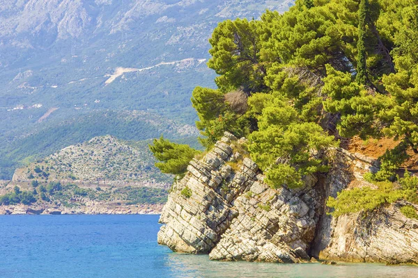 Adriatic Coast Montenegro Summer Mediterranean Sea Landscape Natural Landscape — Stock Photo, Image