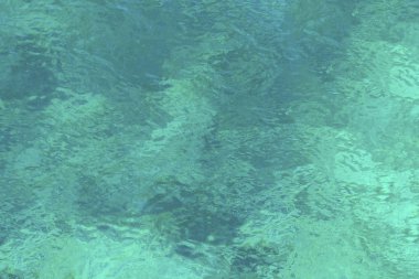 Açık turkuaz deniz suyu alt manzaralı