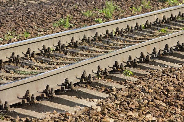 Ülke doğrudan tren seyahat portre
