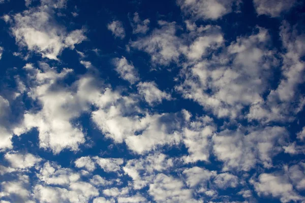 Evening clouds in the blue sky.