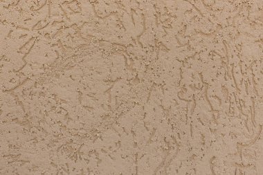 Bir uçak solucanlar tarafından yenen taş şeklinde bej doku.