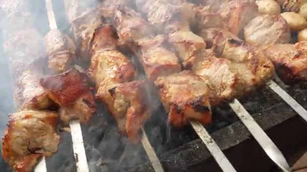 Brochetas Cerdo Cebolla Patatas Barbacoa — Vídeo de stock