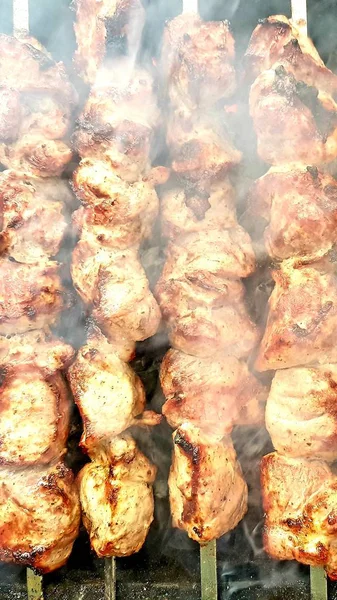 Varkensvlees Spiesjes Barbecue — Stockfoto