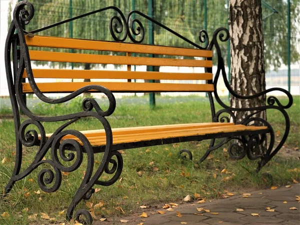 Žluté dřevěné lavice v podzimním parku mezi břízy a vrby — Stock fotografie