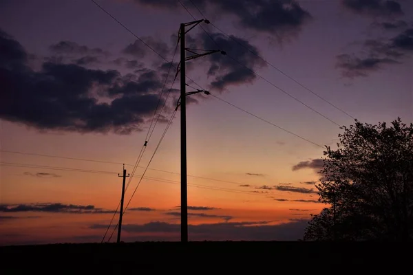 Postes elétricos e árvore em um campo contra um fundo do céu por do sol — Fotografia de Stock