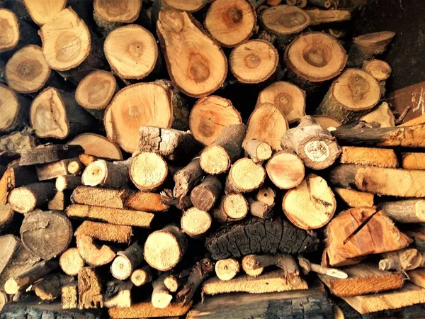 冬の暖房のための樹種からログを準備 — ストック写真