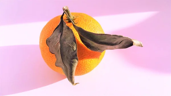 Mandarina Madura Con Dos Hojas Tumbadas Sobre Una Mesa Rosa — Foto de Stock