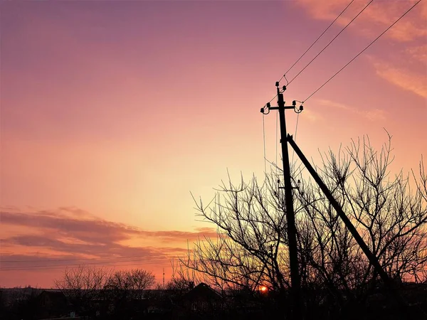 Silhouette Einer Elektrischen Säule Und Eines Baumes Violetten Himmel Und — Stockfoto