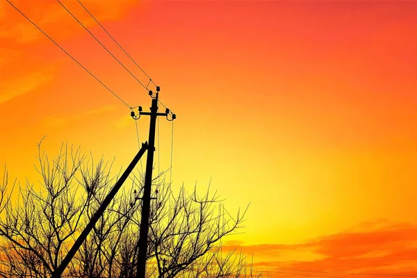 Silhouet Van Een Elektrische Pijler Een Boom Oranje Hemel Zon — Stockfoto