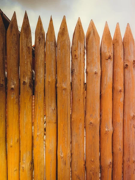 Picos Agudos Una Cerca Madera Textura Troncos Madera Tallo Árbol —  Fotos de Stock