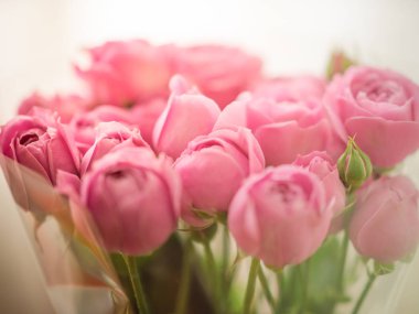 Soluk Hassas şakayık, selofan sarılı gül buket.