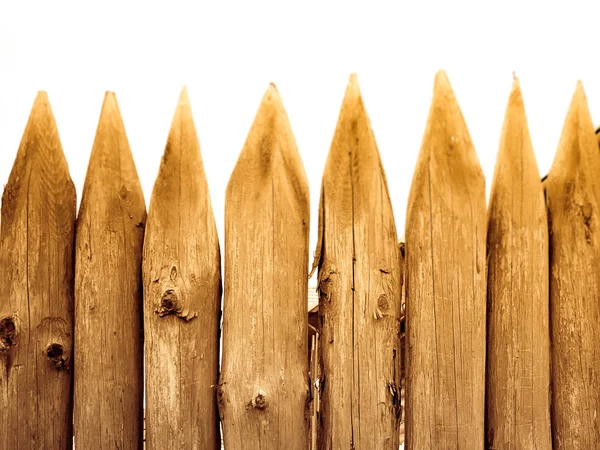 Ostre Szczyty Drewnianym Płocie Tekstura Drewnianych Pni Pień Drzewa — Zdjęcie stockowe