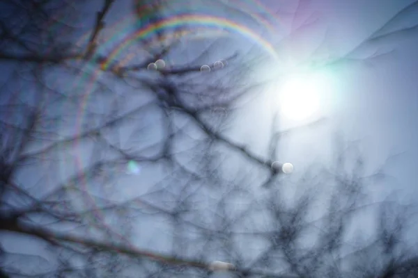 Imagen desenfocada del sol con el sol en el cielo azul detrás de las ramas secas de los árboles . —  Fotos de Stock